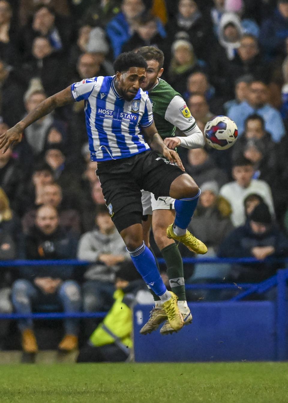 Sheffield Wednesday gallery