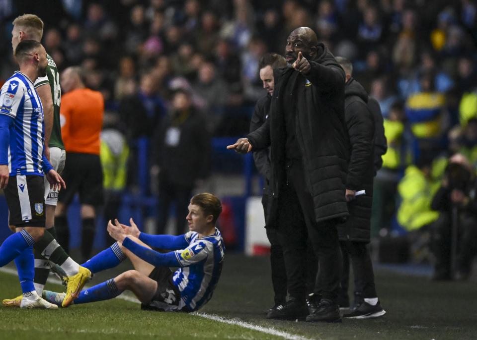 Sheffield Wednesday gallery