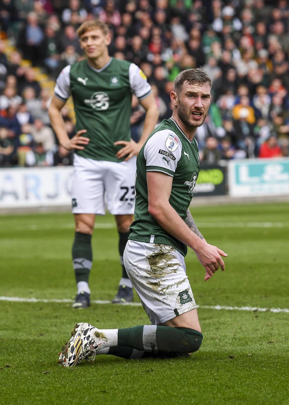 Argyle v Forest Green Rovers