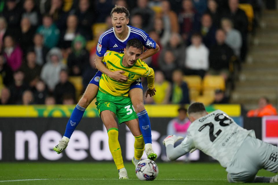 Norwich City in action against Leicester City