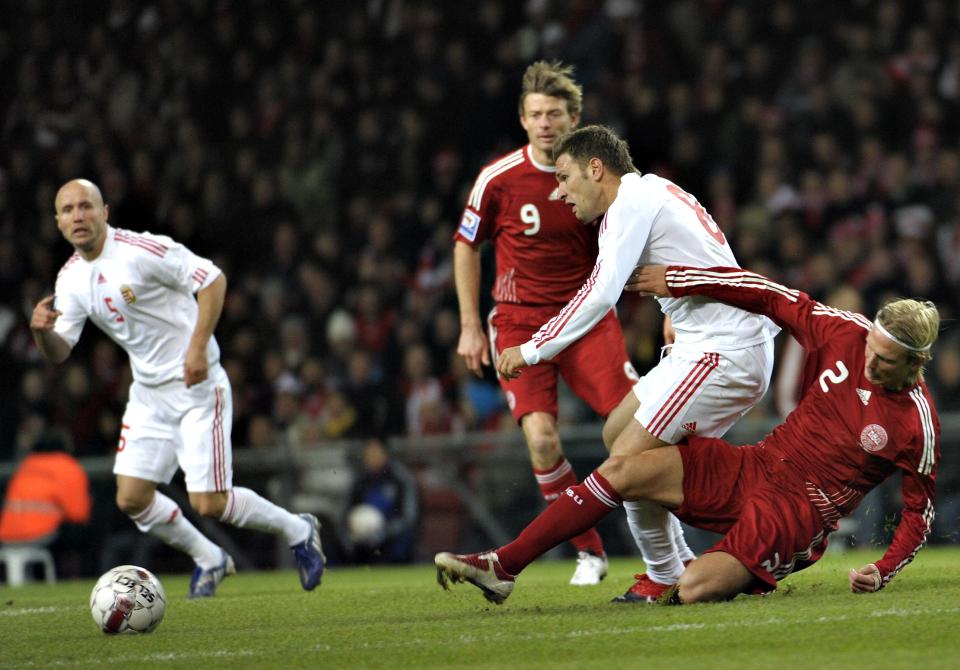 Hungary in action against Denmark