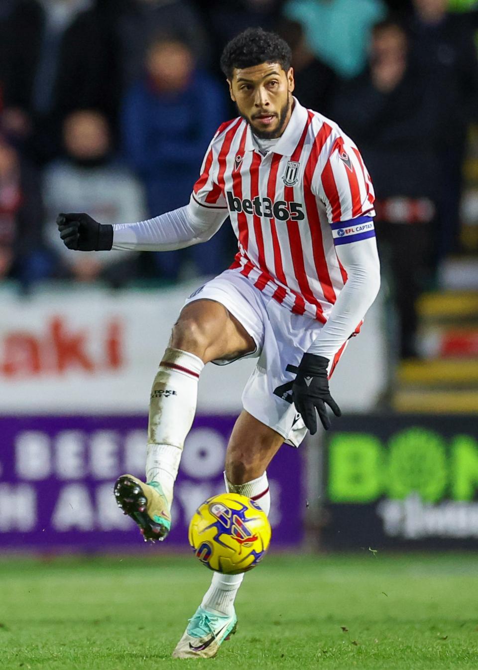 Gallery | Stoke City (H)