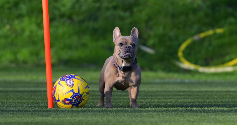 Training Gallery | Thursday 11 January