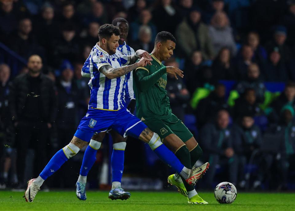 Match Gallery | Sheffield Wednesday (A)