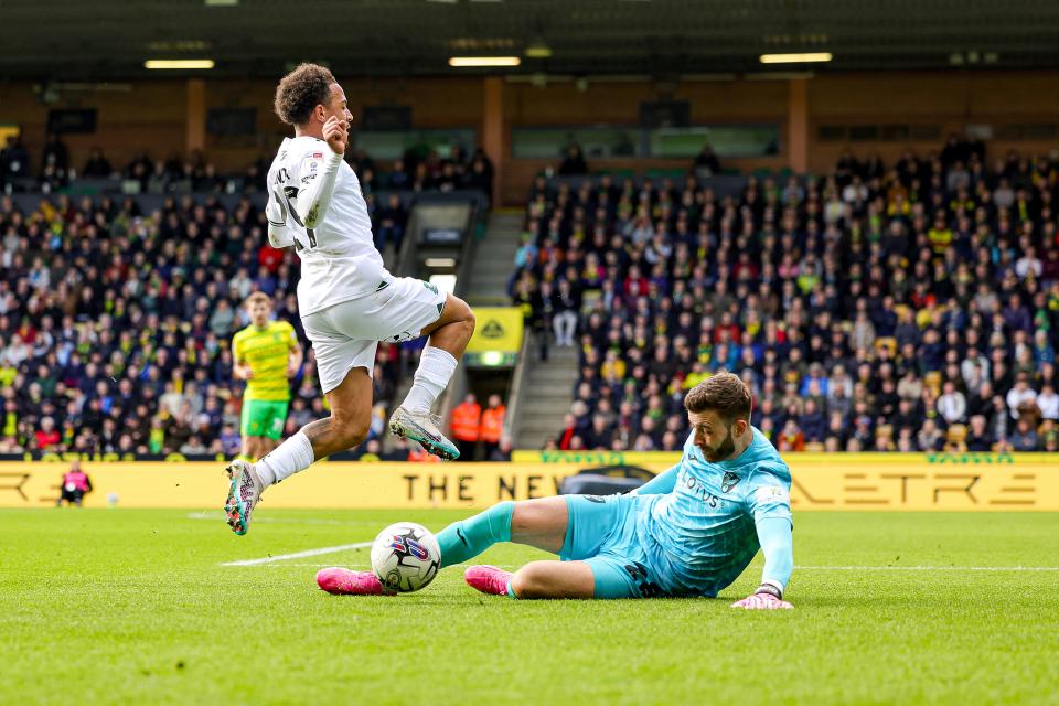 Match Gallery | Norwich City (A)