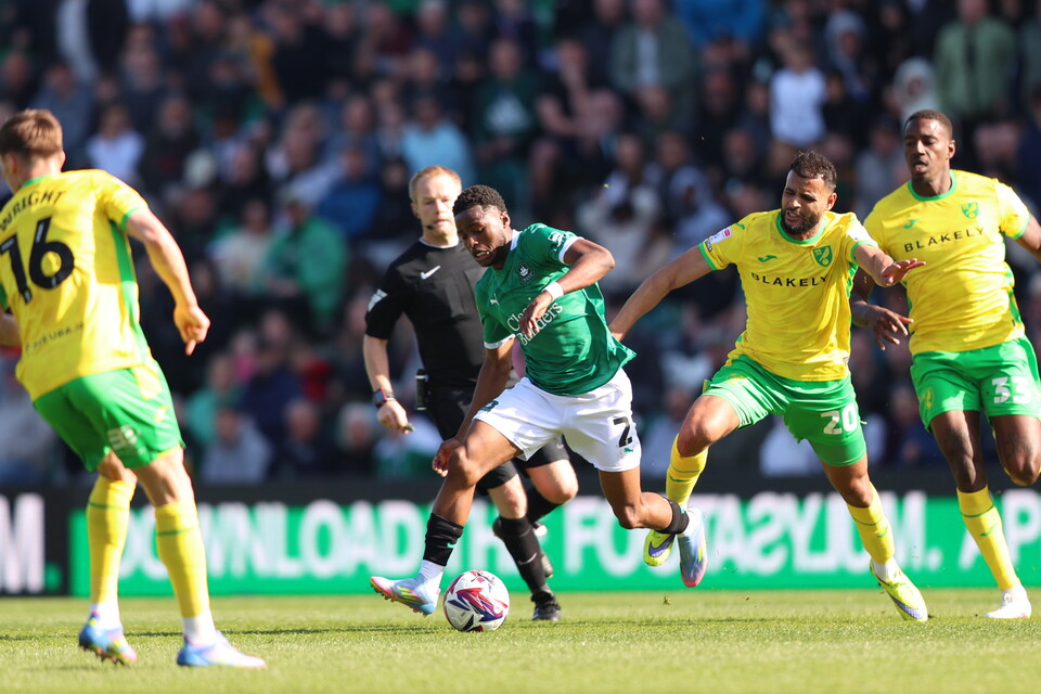 Match Gallery | Norwich City (H)