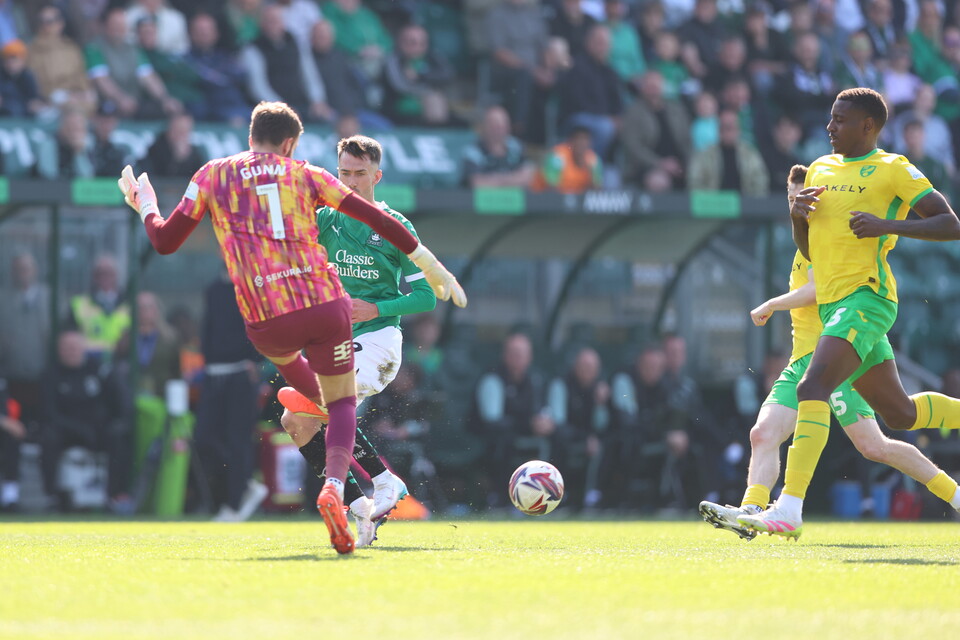 Match Gallery | Norwich City (H)