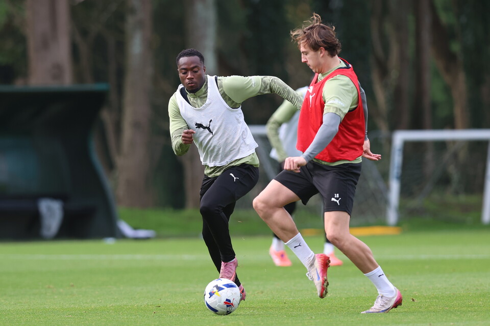 Training Gallery | October International Break