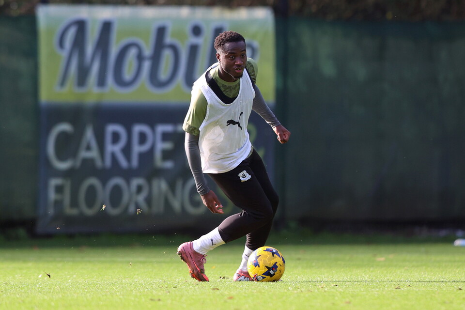 Training Gallery | 13 November