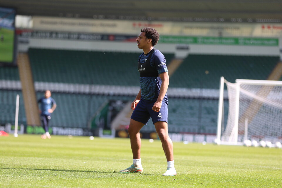 Gallery | Open Training