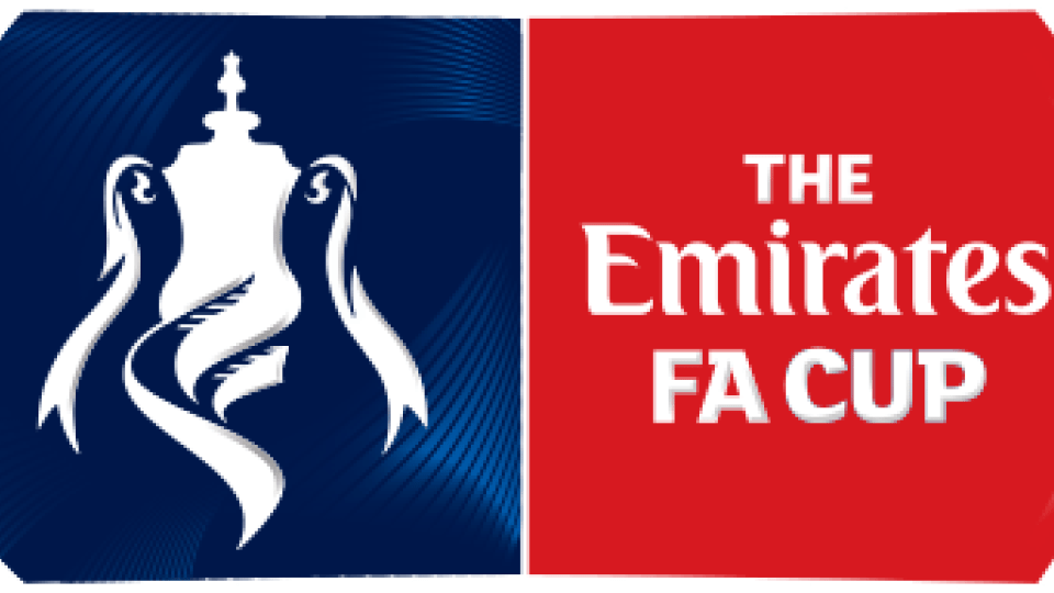 the Emirates fa cup