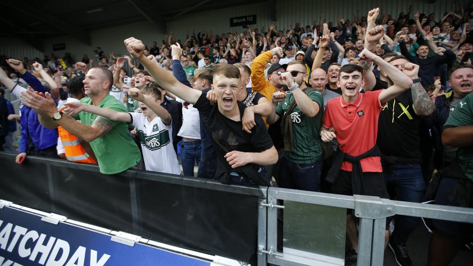 Green Army at AFC Wimbledon