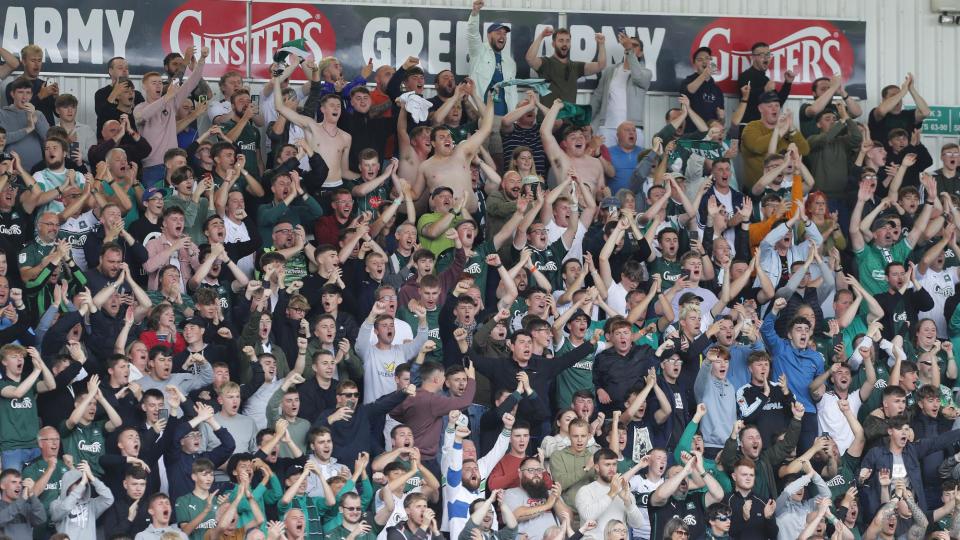 Fans celebrate a goal