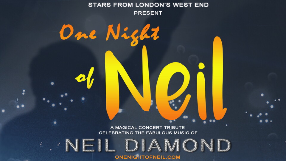 One Night of Neil