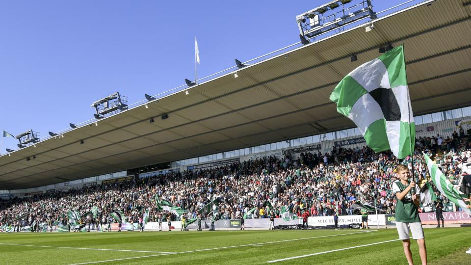 Home Park on a sunny day