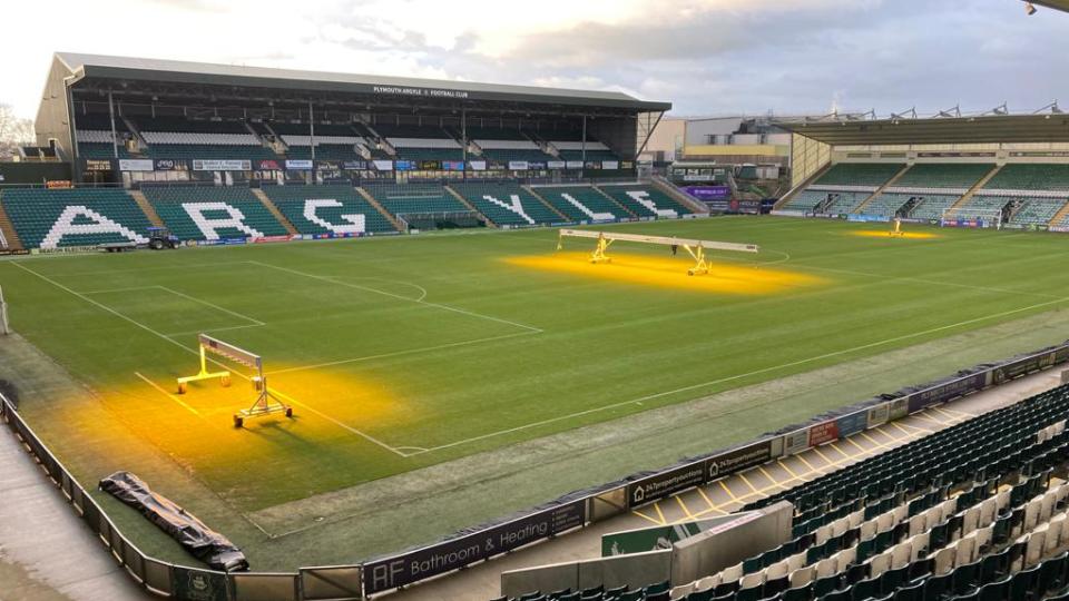 Home Park pitch
