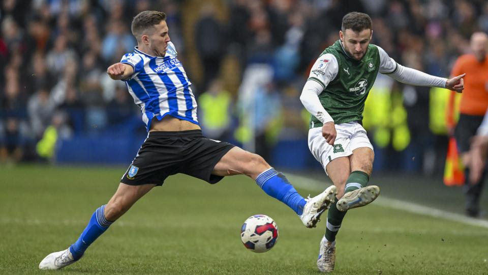 Macaulay Gillesphey at Sheffield Wednesday