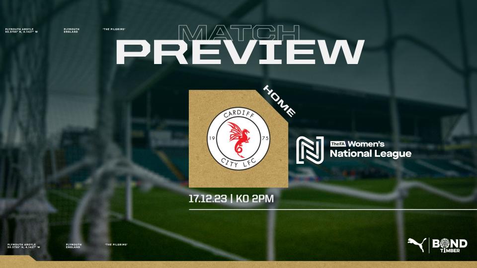 Cardiff city preview