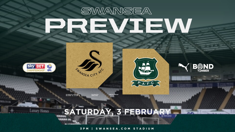 Swansea City preview