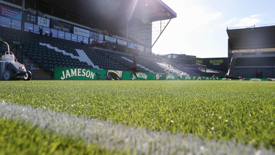 Home Park pitch