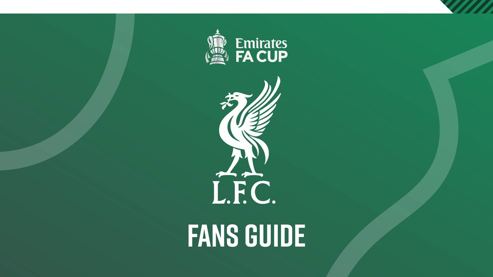 Fans' Guide