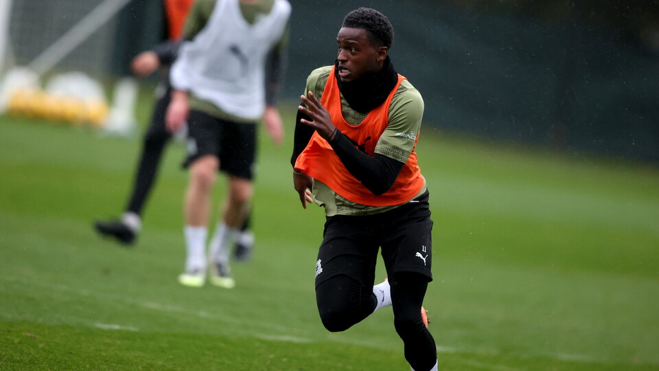 Training Gallery | 4 November