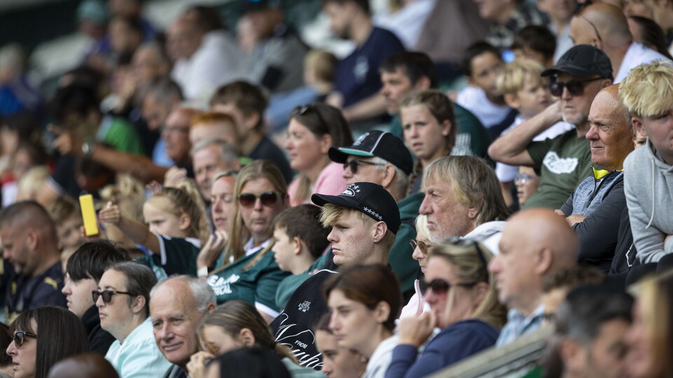 Argyle Fans