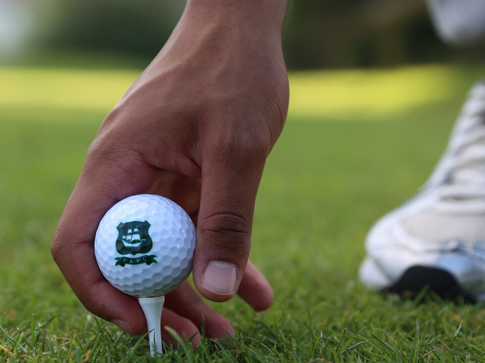 Argyle Golf ball