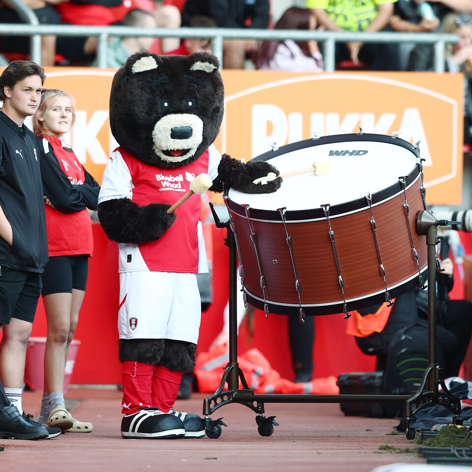 Rotherham Mascot
