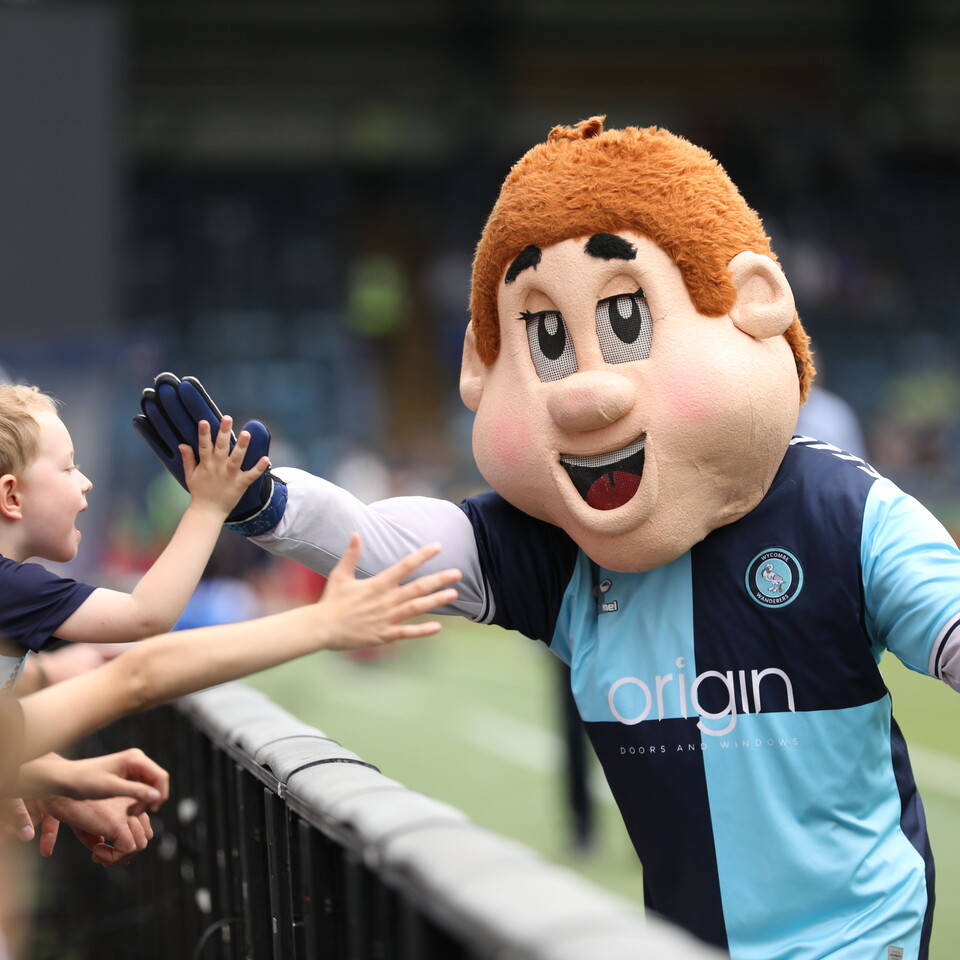 Wycombe Mascot